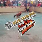 Hasilkan gambar: Perjudian Diduga Kembali Marak di Ponorogo: Penertiban Sekadar Seremonial? Publik Pertanyakan Keseriusan Aparat