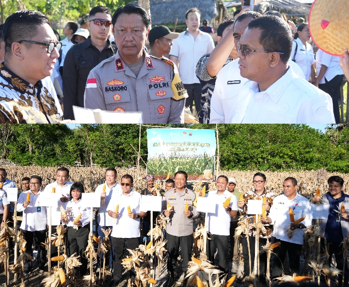 Screenshot_20260402-192644