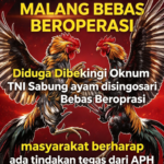 Perjudian Di Malang Bebas Beroprasi, Diduga Ada Beking Dari Oknum Anggota.